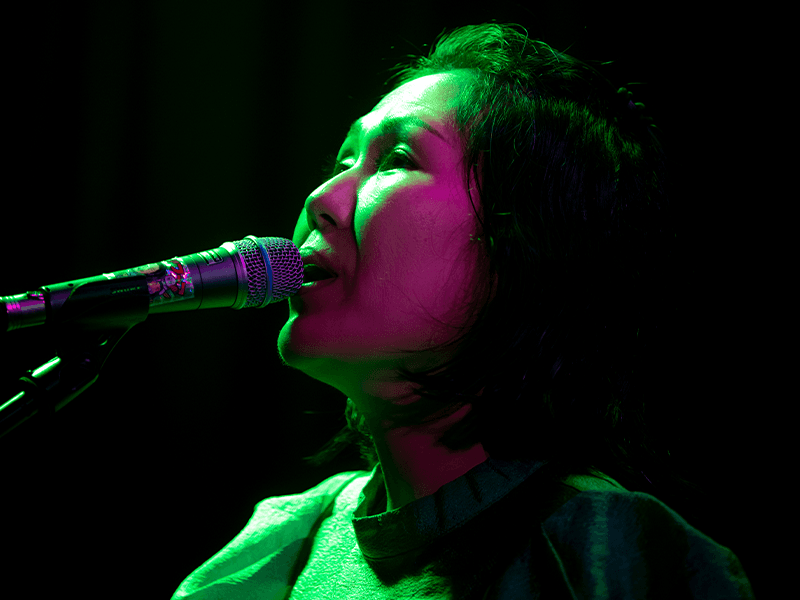 Deerhoof poster for Lincoln Hall
