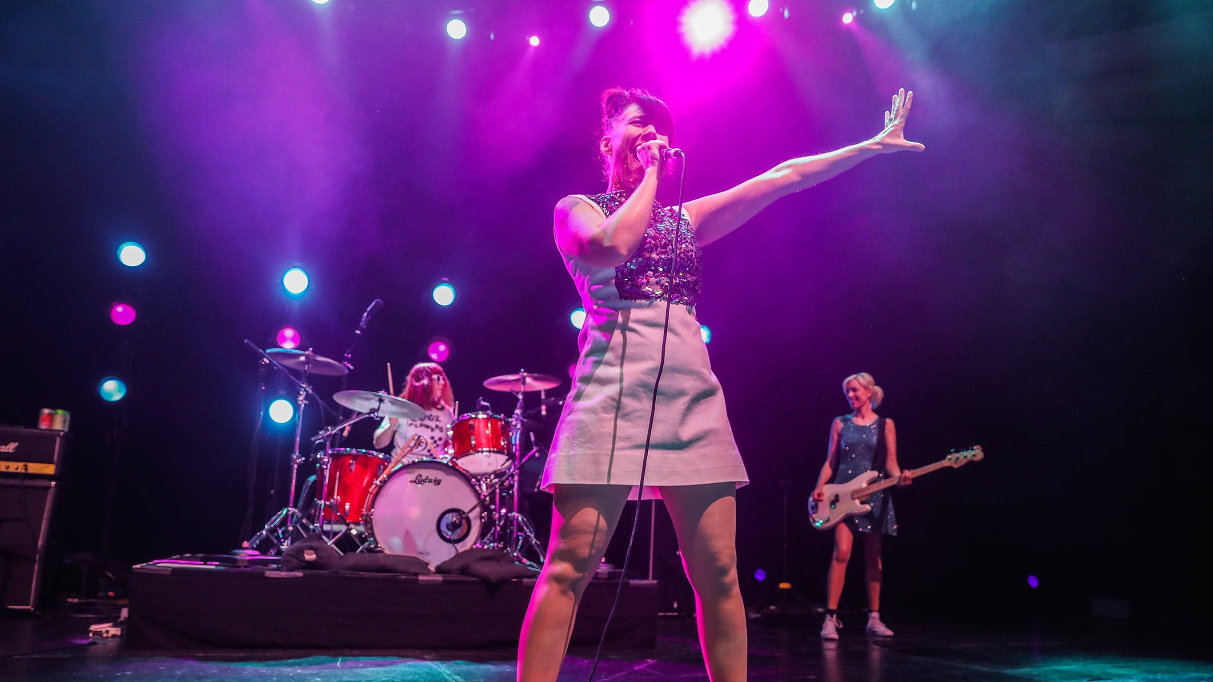 Bikini Kill with Ganser artwork from The Salt Shed