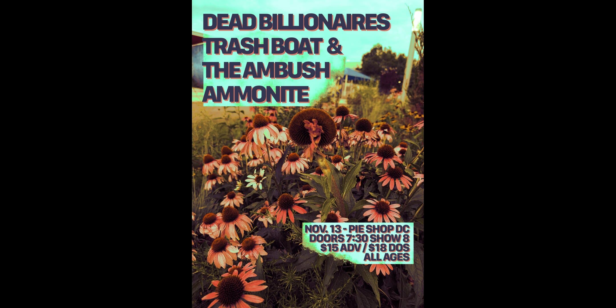 Dead Billionaires w/ Trash Boat & The Ambush, Ammonite artwork from Pie Shop