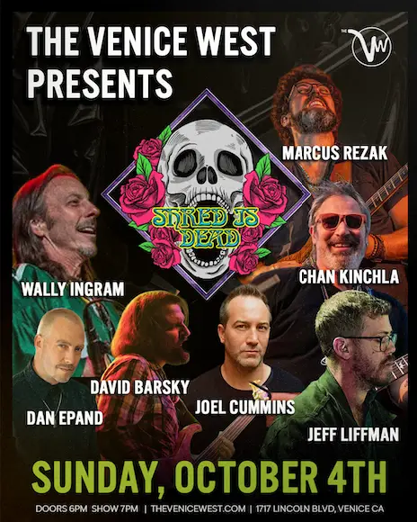 Marcus Rezak Shred Is Dead artwork from The Venice West