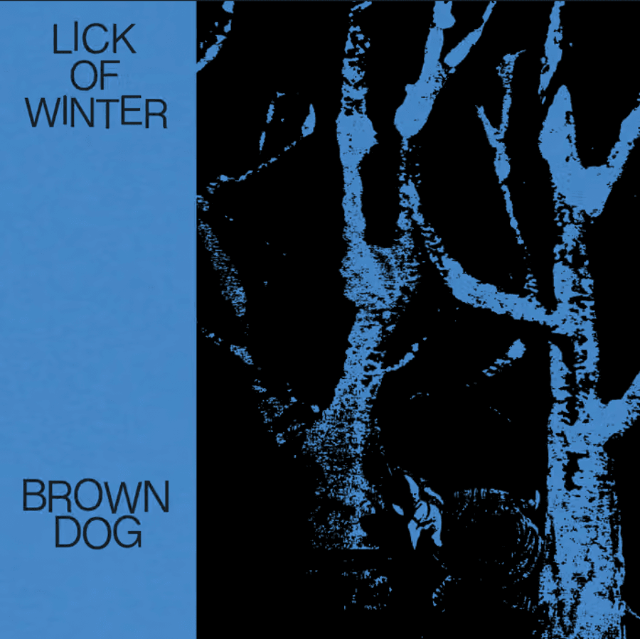 Brown Dog • Broom (NYC)• Pateka artwork from Ivy Room