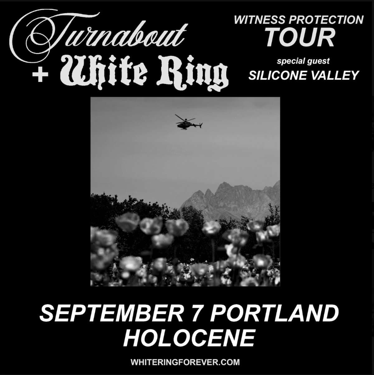 Turnabout + White Ring w/ Silicone Valley – Witness Protection Tour – All Ages artwork from Holocene