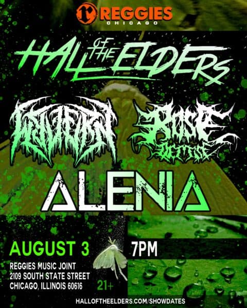 HALL OF THE ELDERS artwork from Reggie's Music Joint